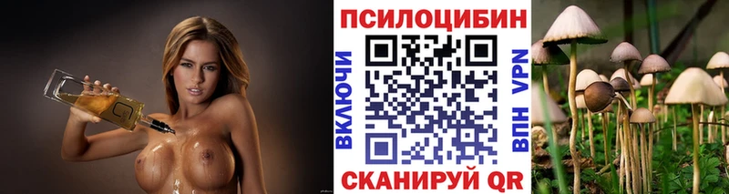 Псилоцибиновые грибы Magic Shrooms  Петушки 